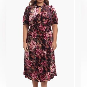 Maggy London Women's Plus 20W Burnout Velvet Pink Floral Dress